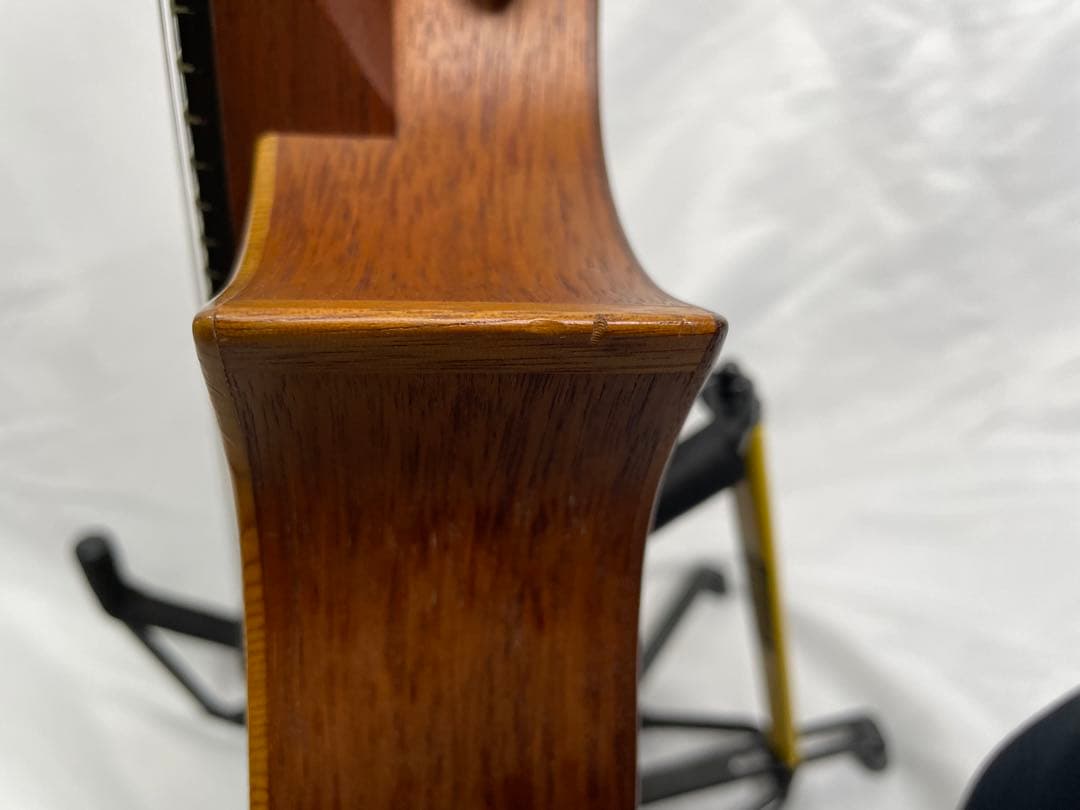 タコマ/Tacoma フラットマンドリン m-1