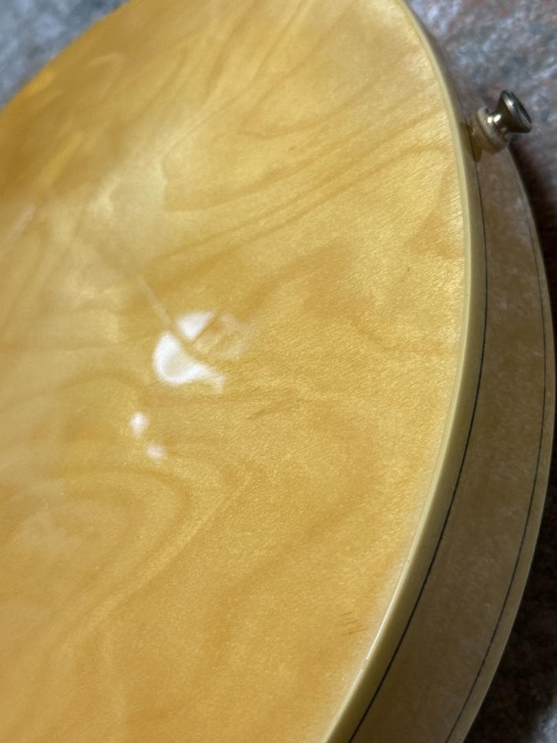 Epiphone SHERATON II 2014ｓ