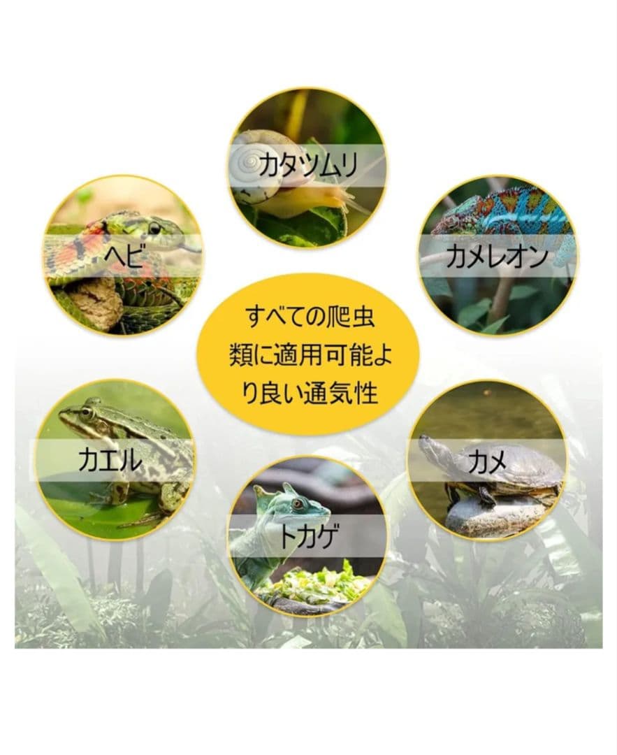 爬虫類・両生類用飼育ケージ 32cm x 32cm x 46cm