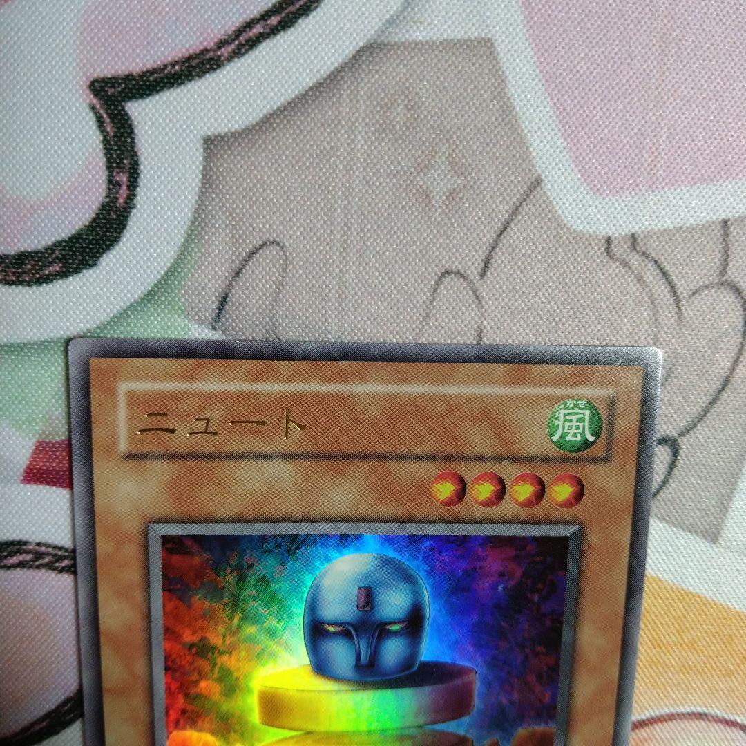 ニュート　ウルトラ