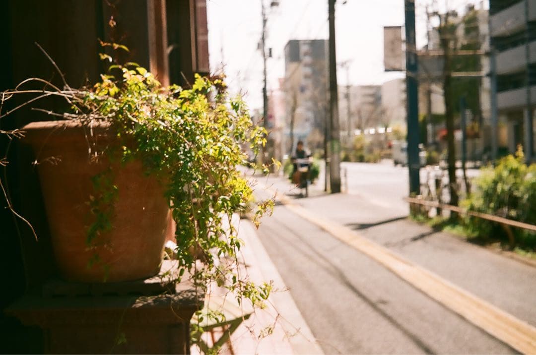 【作動保証1ヶ月】整備済、完動品/ OLYMPUS TRIP35　オリンパス