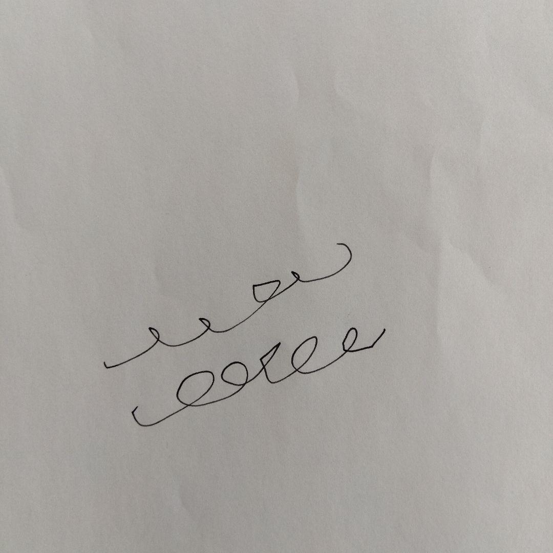 パイロット万年筆エリート　ペン先18K　インクカートリッジ付