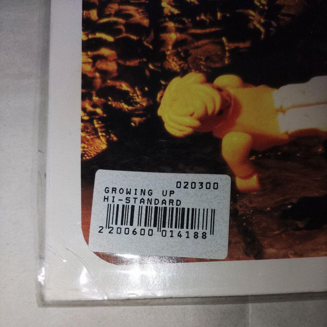 希少　限定盤　Hi-Standard　GROWING UP　レコード　ハイスタ