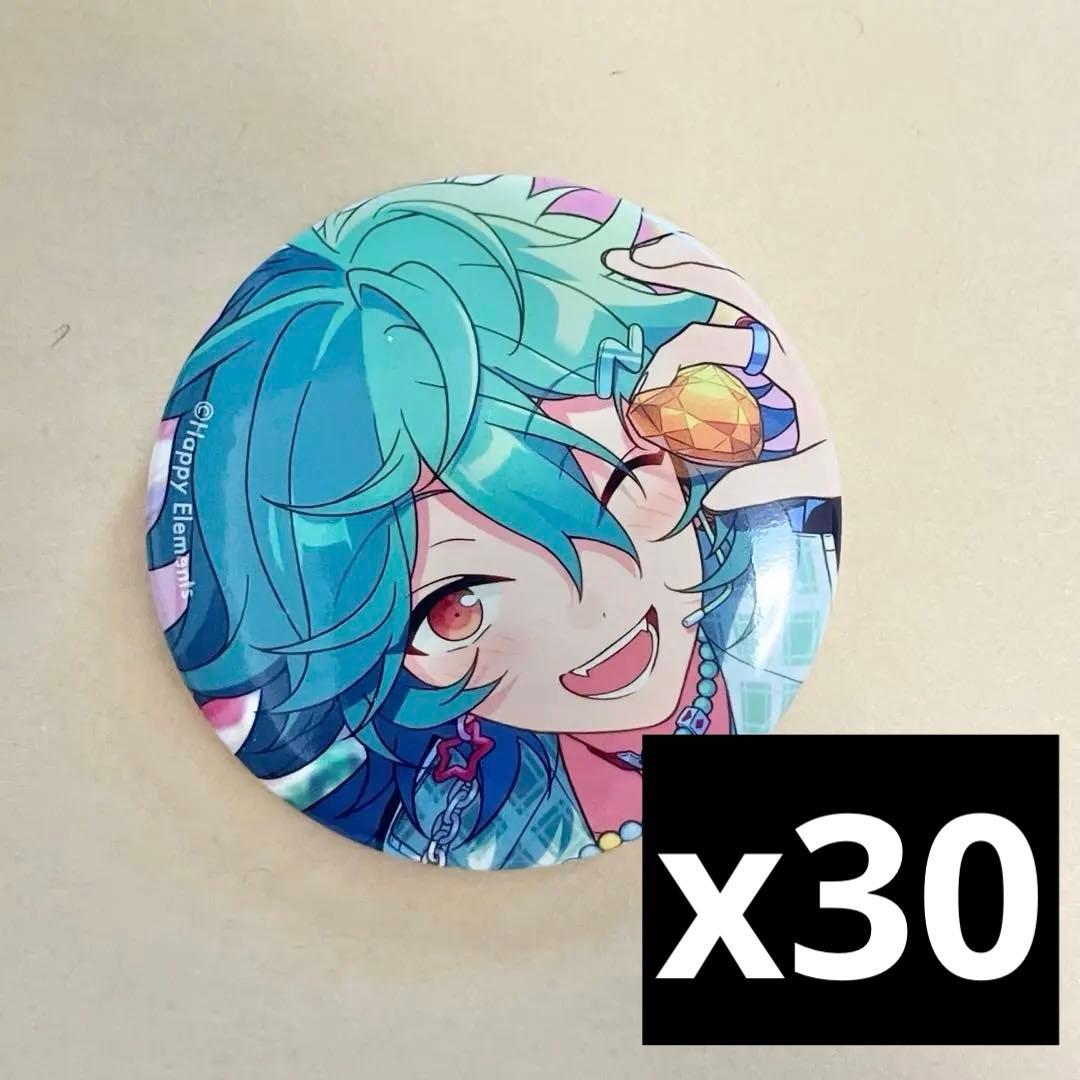 【あんスタ】宝丈 萊香　ライカ　コレクション　缶バッジ idol 30個　A