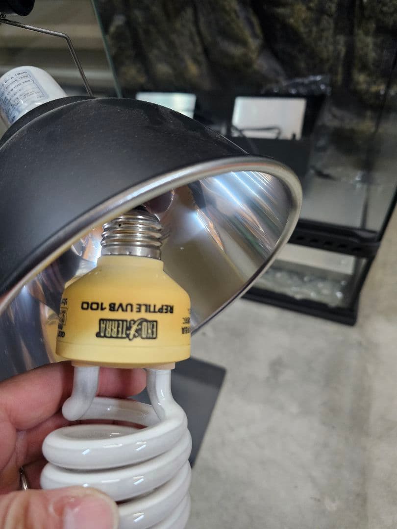 製飼育ケージ エキゾテラ 引取り限定