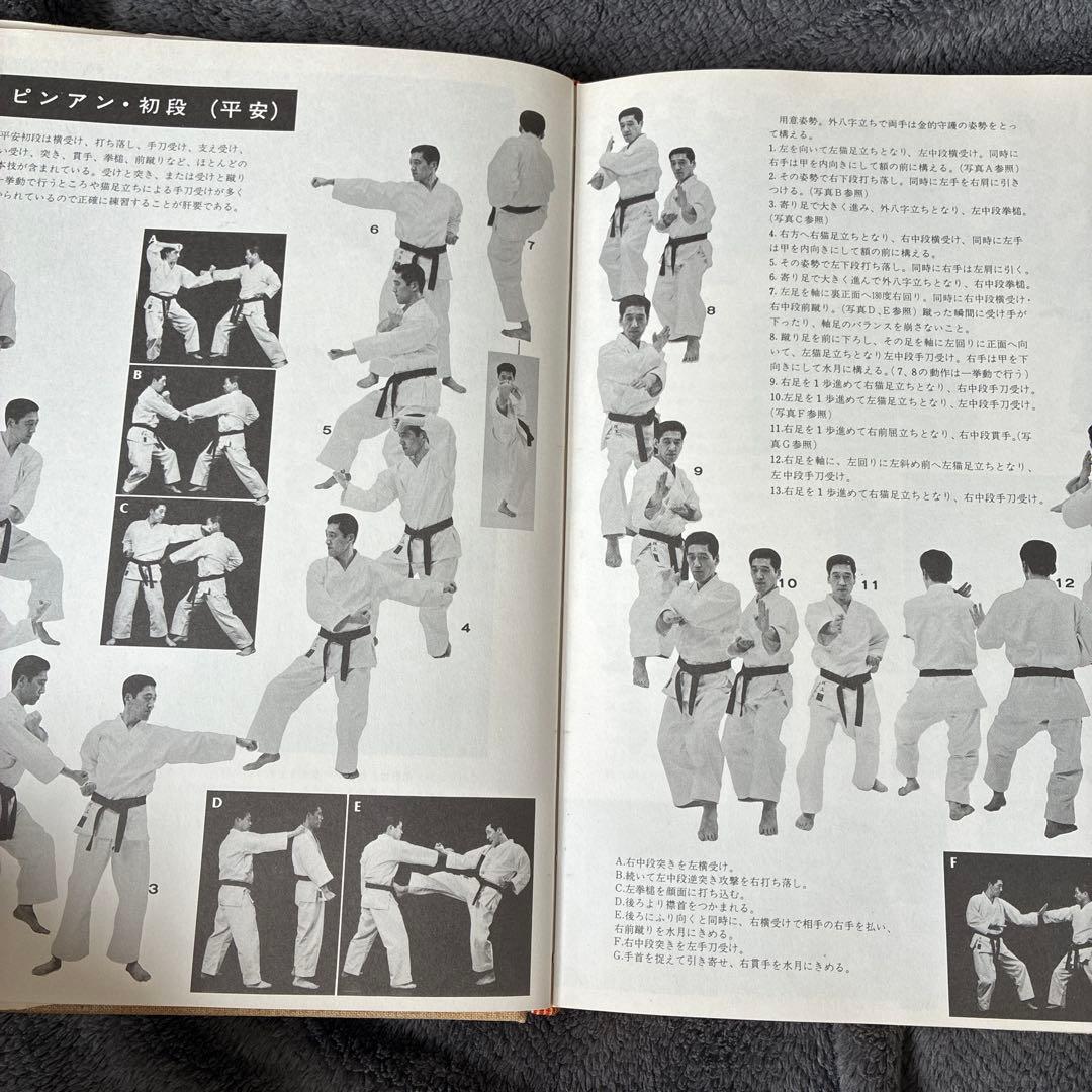 m*n様 【極稀少】空手道型大鑑 坂上賢治 著：糸洲流の真髄「型と分解」の決定版