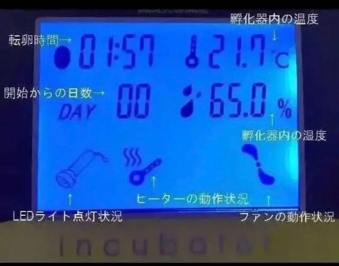 【新品】LED孵卵器 自動転卵／温度湿度調整◎孵化器 うずら・鳩・鶏卵56個対応