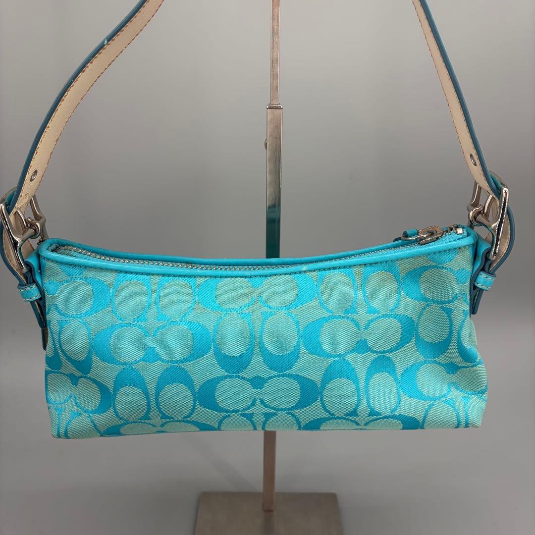 バッグ Coach Baguette Hampton Semi Demi Bag