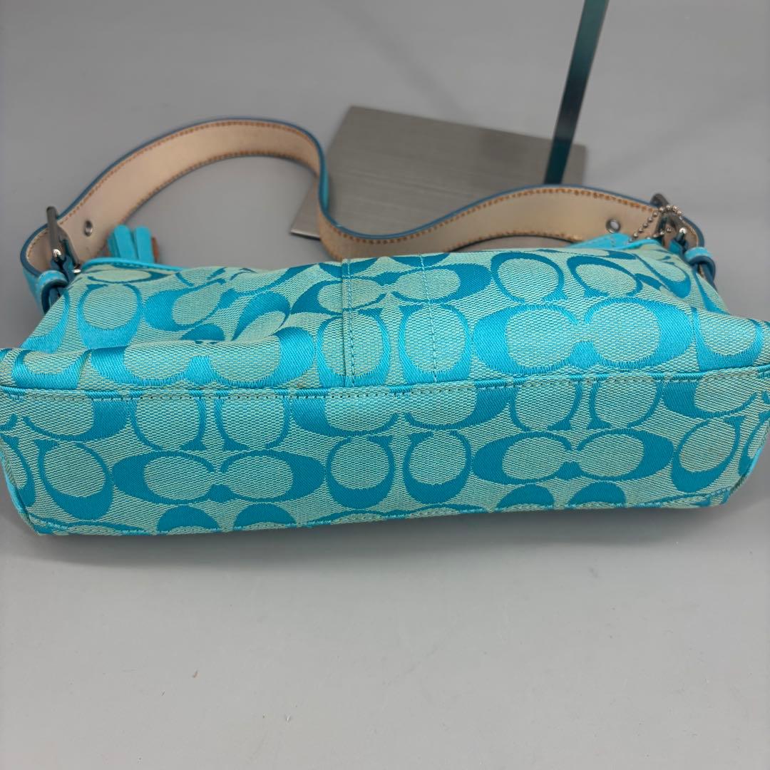 バッグ Coach Baguette Hampton Semi Demi Bag