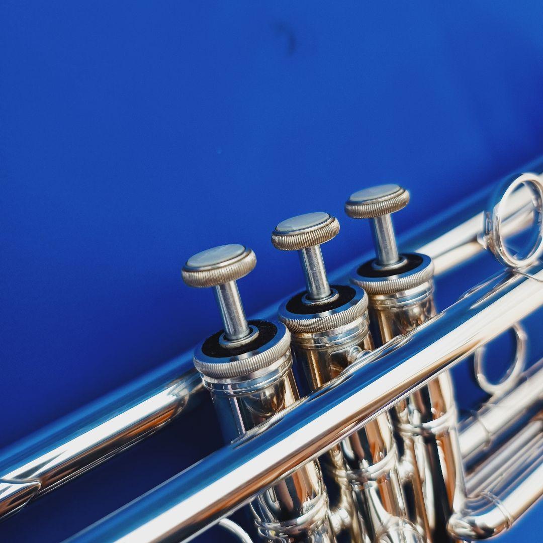 選定品 ZORRO Custom BUILT ModelII