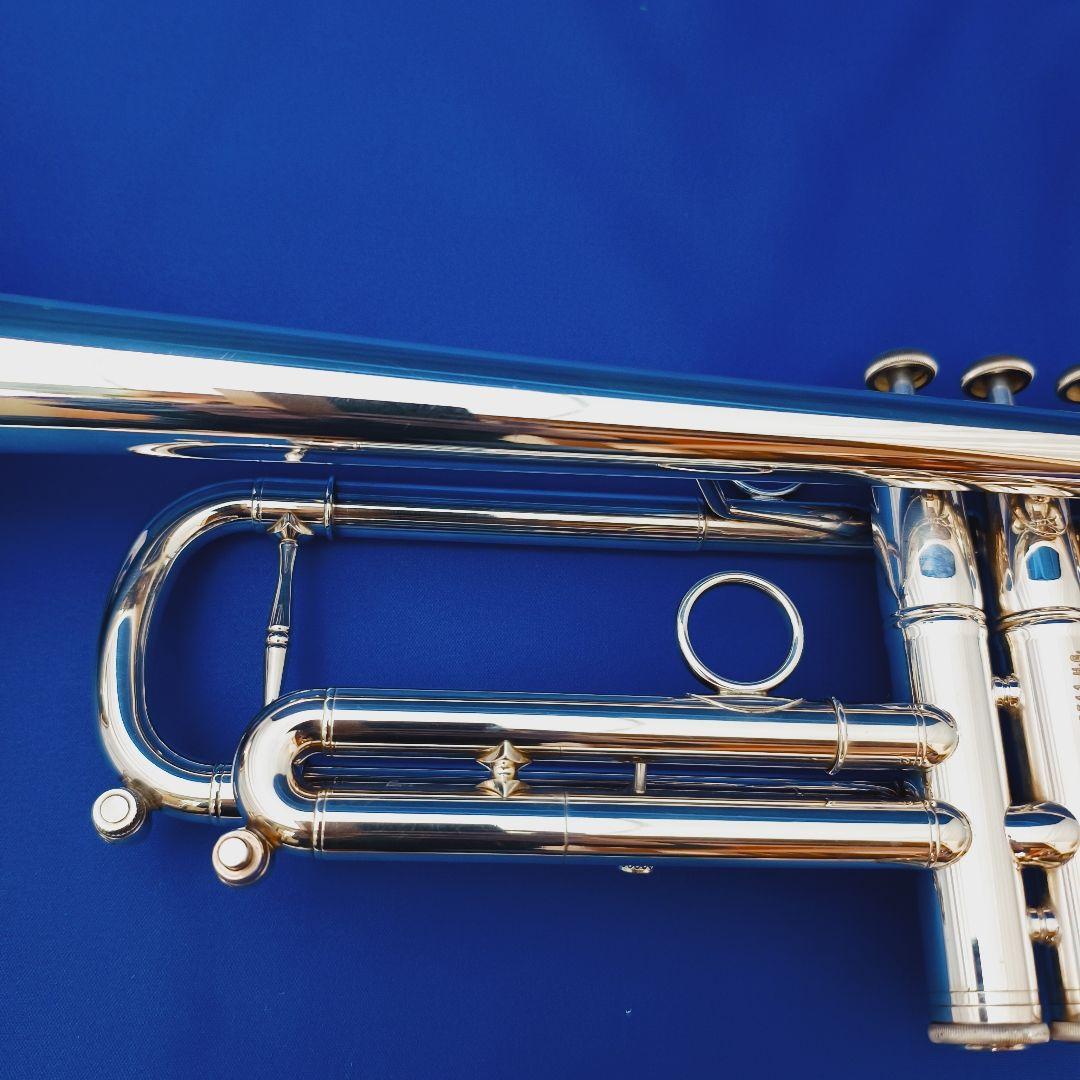 選定品 ZORRO Custom BUILT ModelII