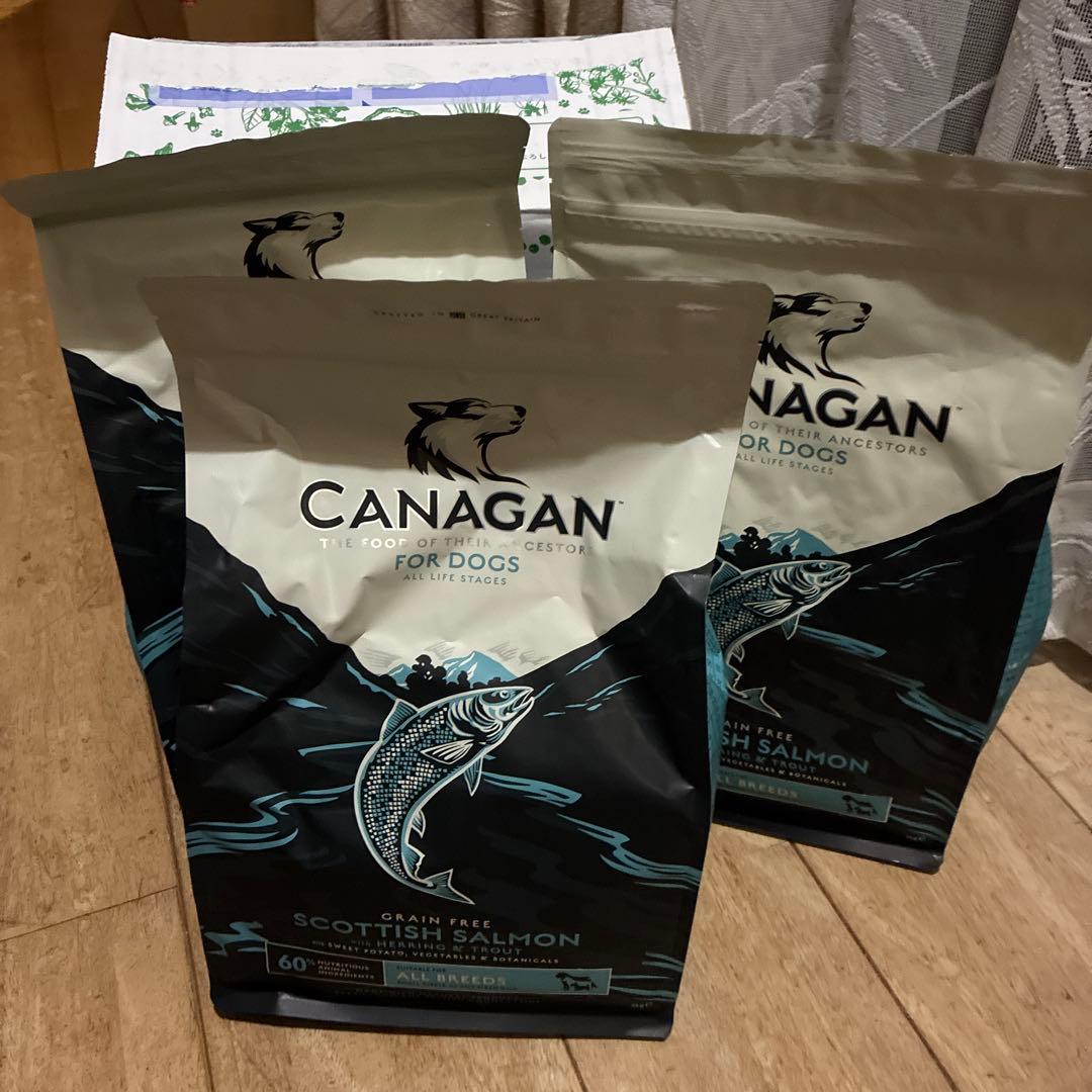 カナガンドッグフードサーモン2k✖️3袋