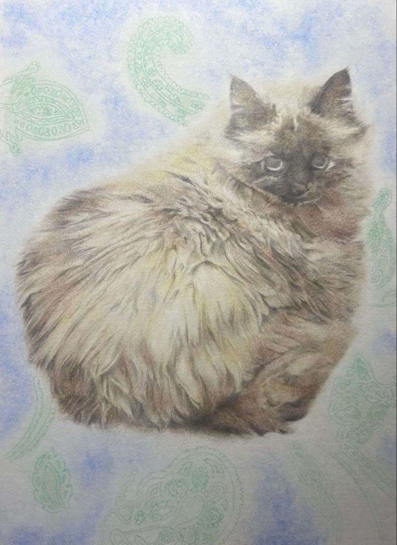 masa7716　猫猫　絵画