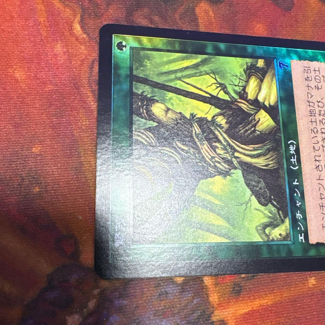 【Foil】《繁茂/Wild Growth》[7ED]日本語版