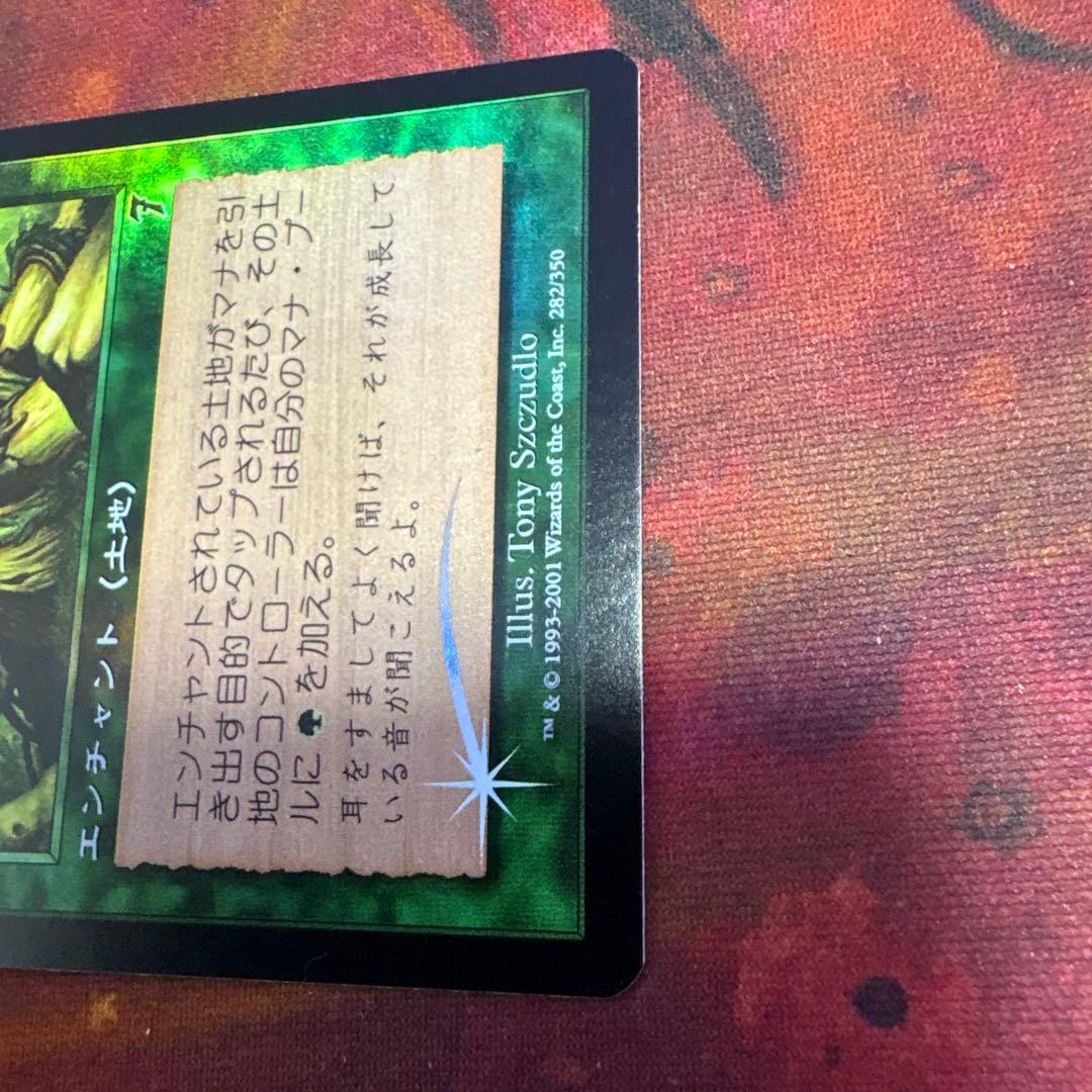 【Foil】《繁茂/Wild Growth》[7ED]日本語版