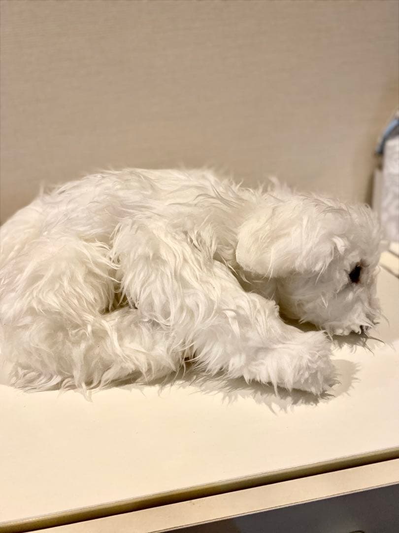 作家　マルチーズ　ぬいぐるみ