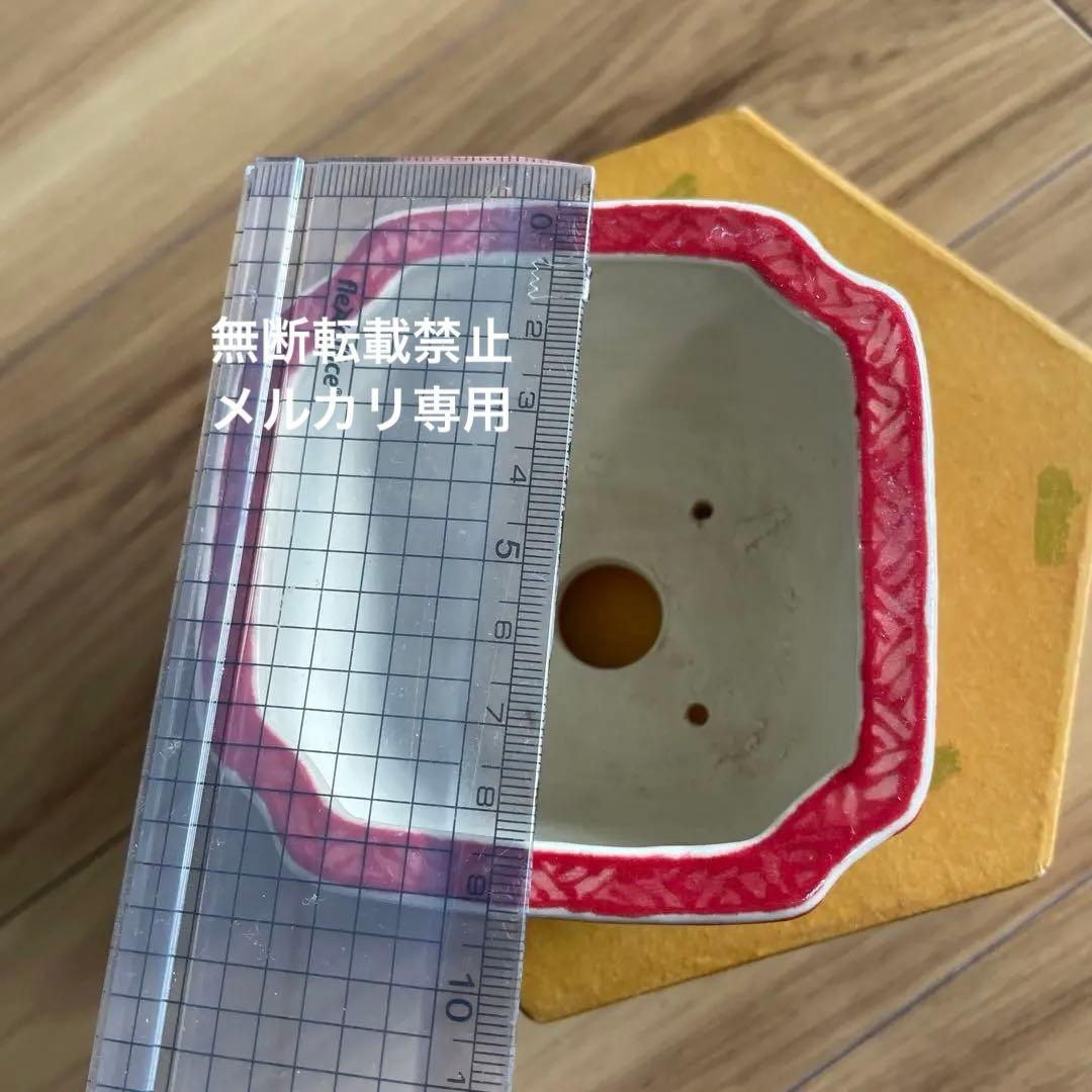 盆栽鉢　桑津香石　絵鉢　四角　松　鳥　赤絵　小品盆栽