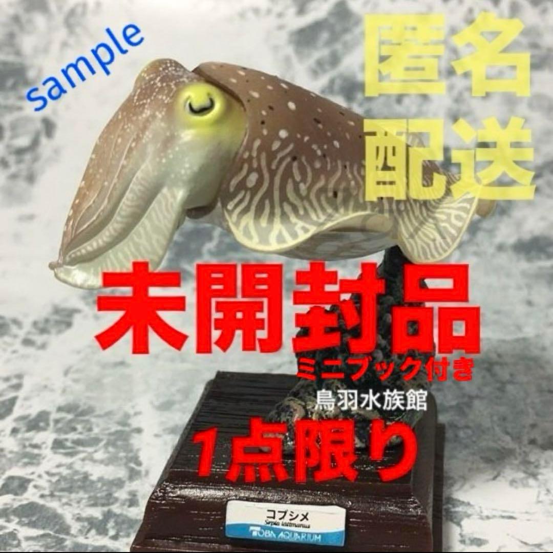 コブシメ　鳥羽水族館　ネイチャーテクニカラー 未開封