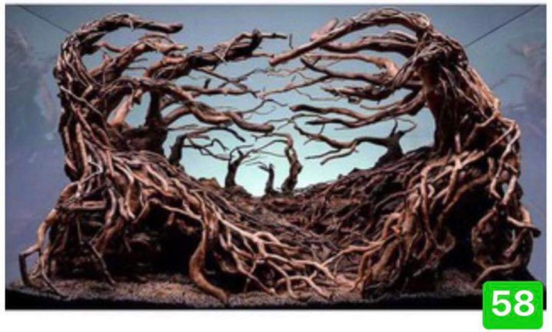 サンプル製品画像のセット。爬虫類ゲージ。水槽。流木。水生植物。流木 アクアリウム