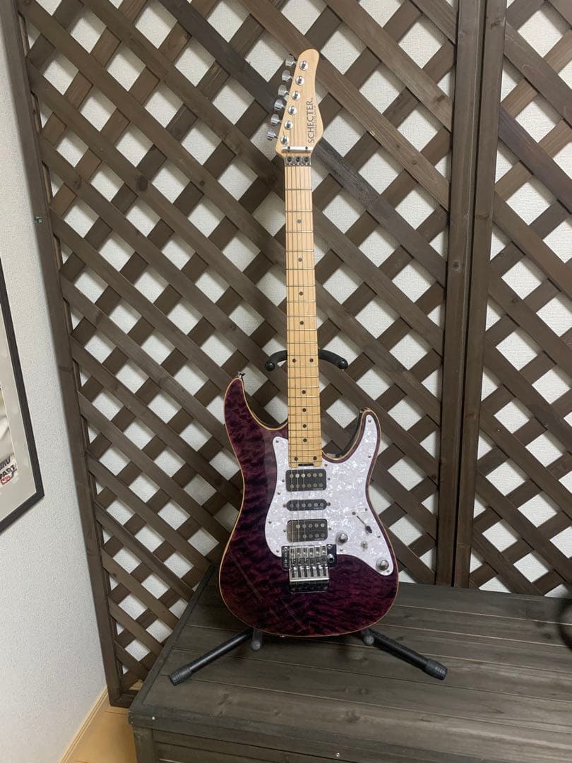 ギター Schecter SD-2-24 BW PUR/M