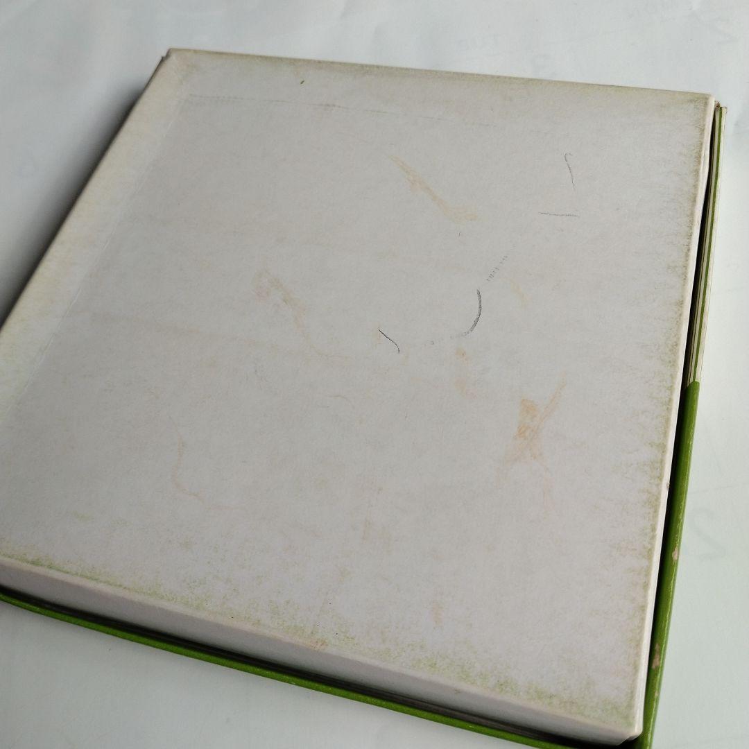 プラチナ　BEEline シャープペンシル0.5 10本入り　PLATINUM