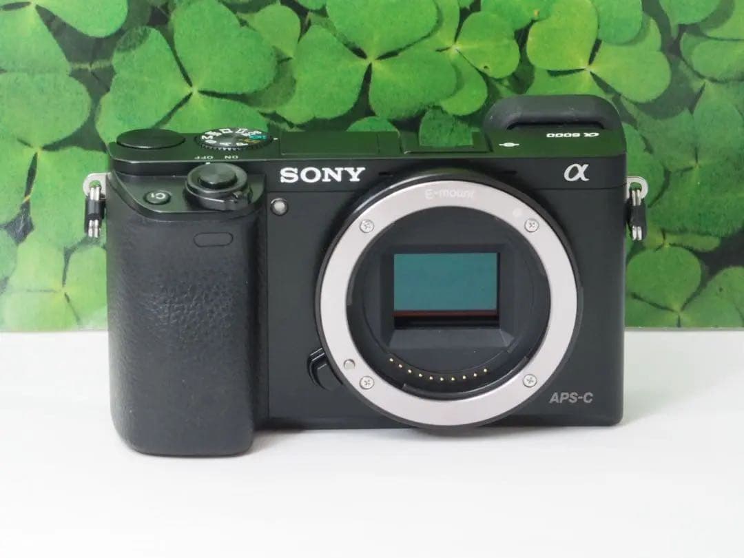 【美品】Wifi搭載❤️軽量 ソニーα6000 2420万画素ダブルレンズキット
