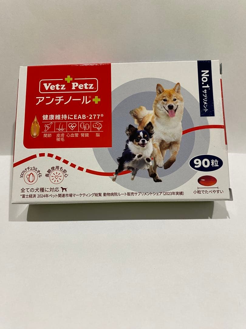 アンチノールプラス 90粒