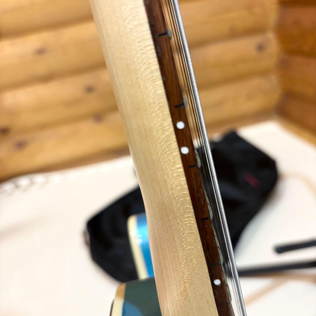 Bacchus バッカス テレキャスター 青 ブルー ユニバーサルシリーズ