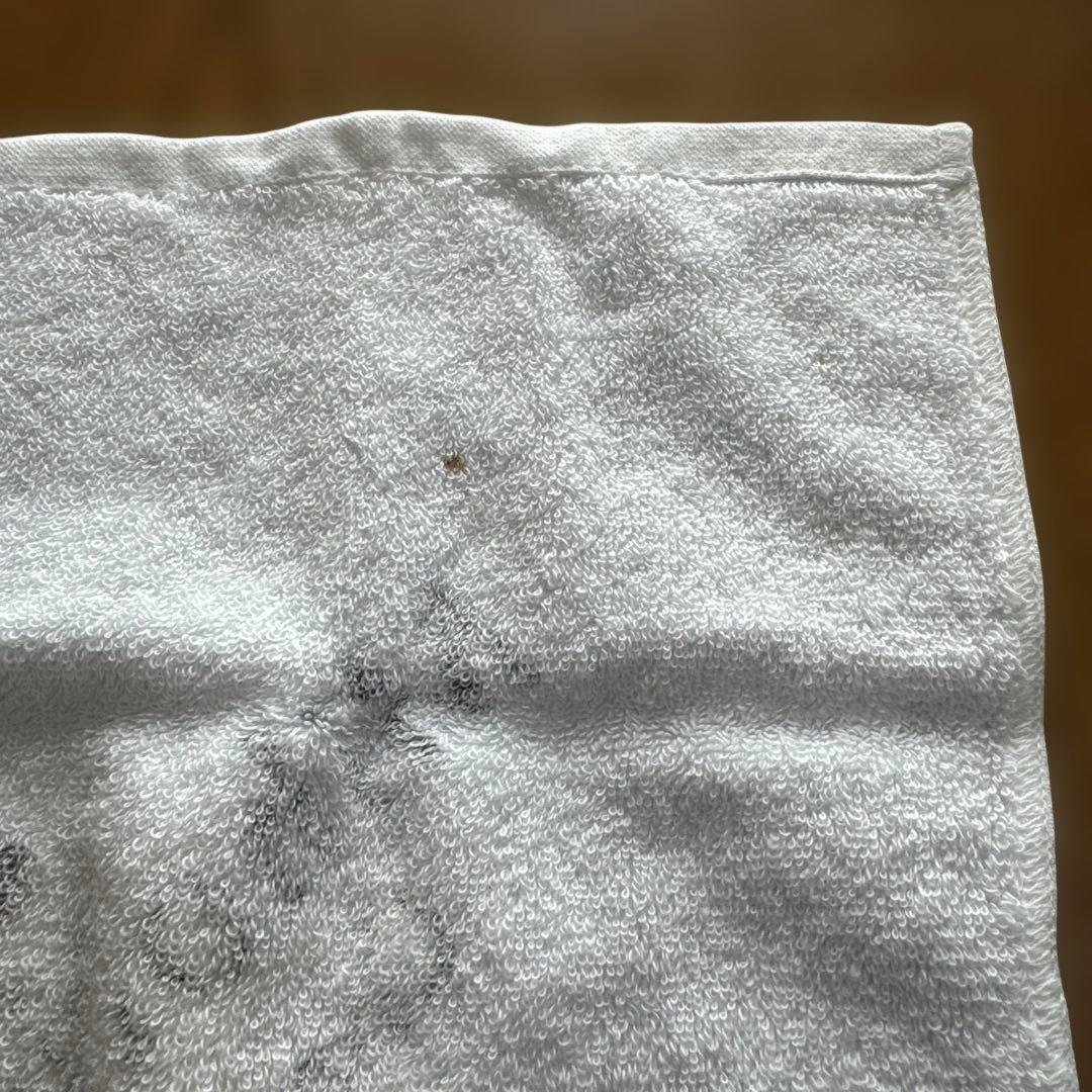 Miho Nakayama コンサートツアータオルセット