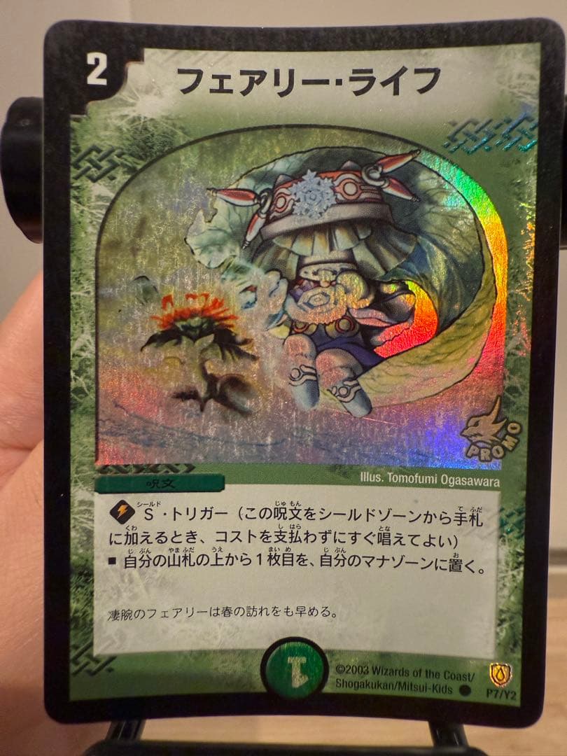 【数量限定】フェアリーライフ 初期 プロモ ラスト1枚