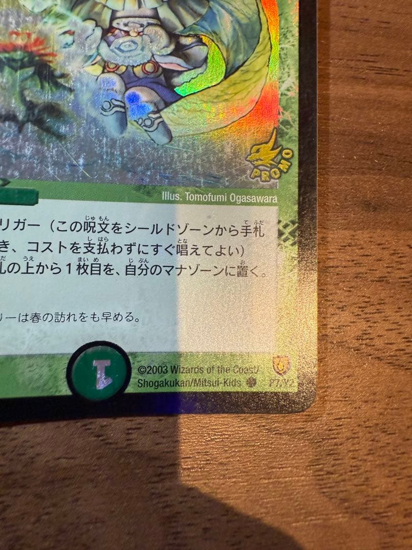 【数量限定】フェアリーライフ 初期 プロモ ラスト1枚