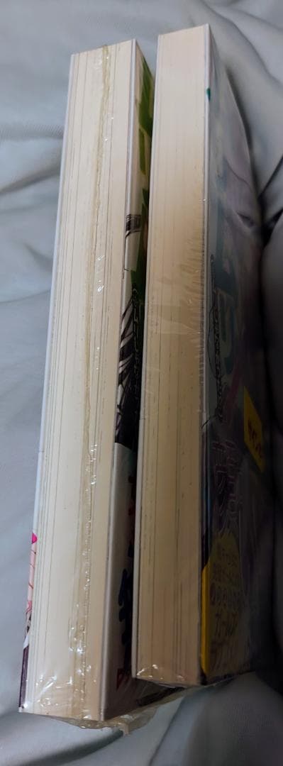 【サイン本】わたしが恋人になれるわけないじゃん 1巻＆2巻セット