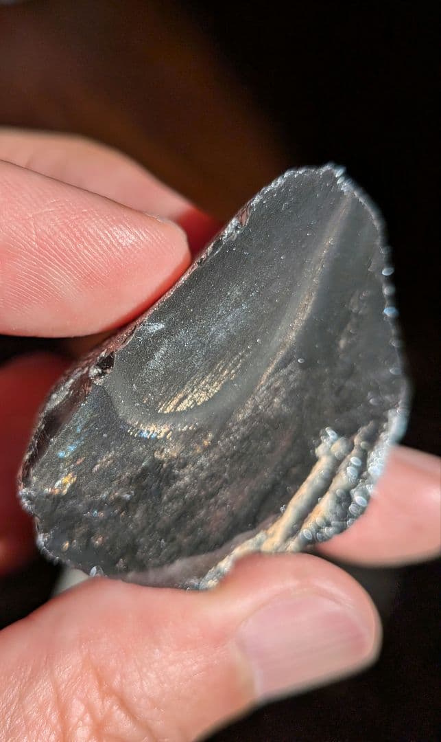 原石　十勝石玲瓏　ゴールデンレインボーオブシディアン