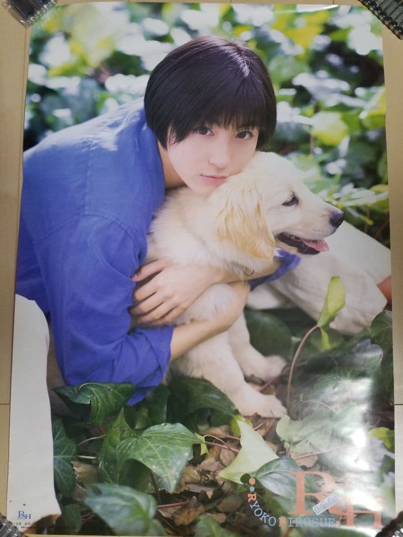 広末涼子　8枚セット　非売品ポスター