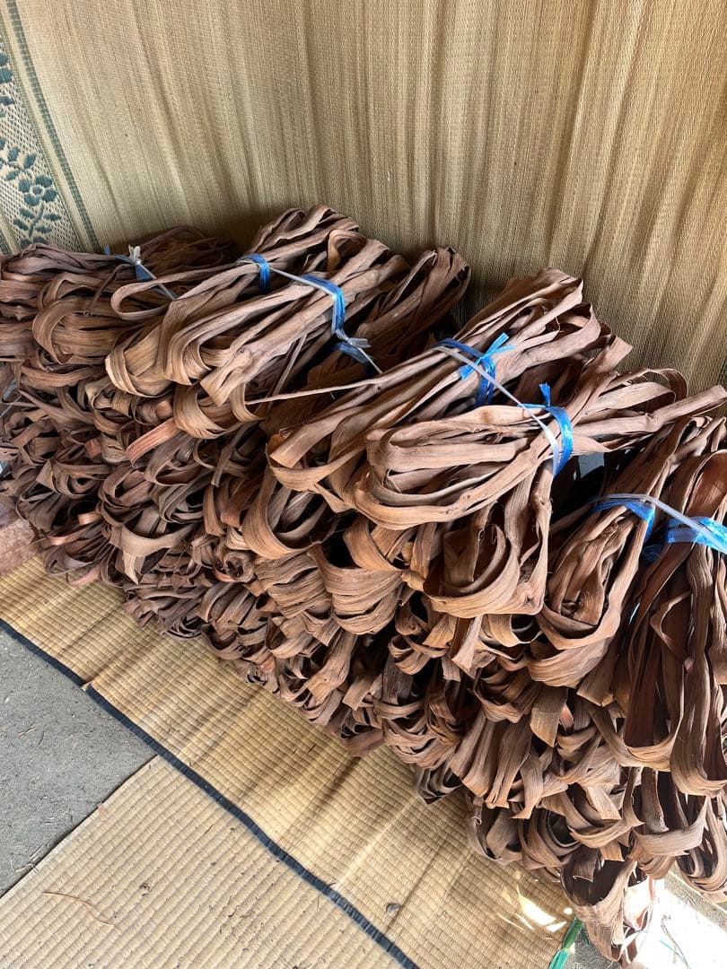 山葡萄　蔓　確認用