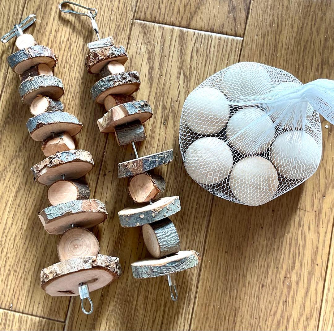 デグー飼育セット イージーホーム40ハイ サイレントホイール ヒーター 砂ビン