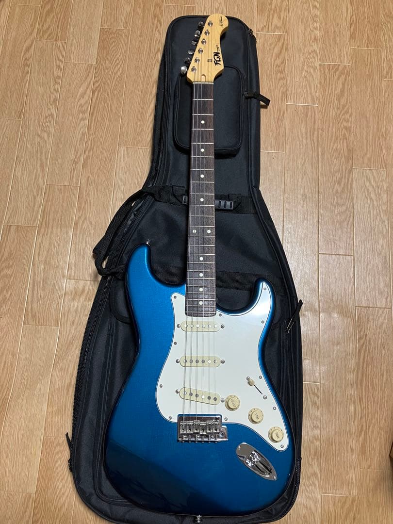 ギター FUJIGEN NST100 RAL OLP