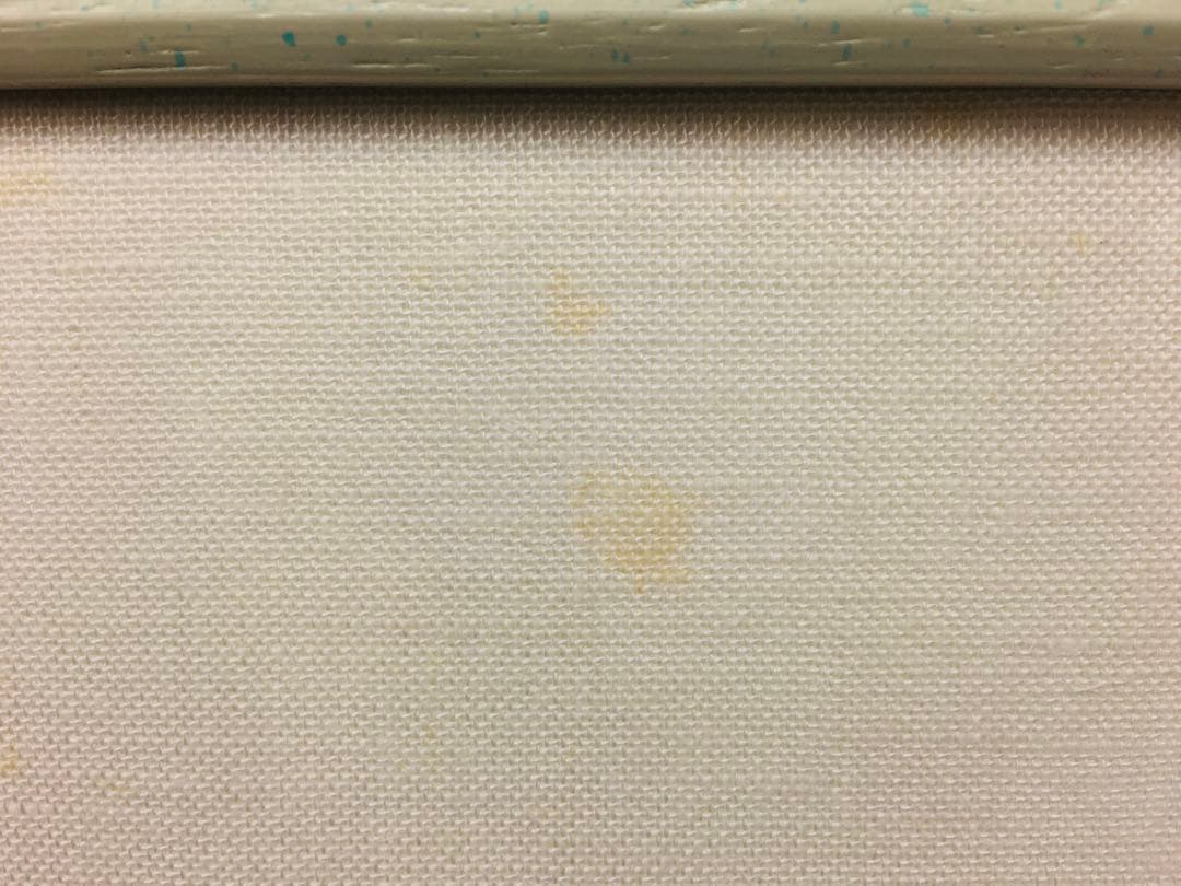 ディズニー　ピノキオ　セル画