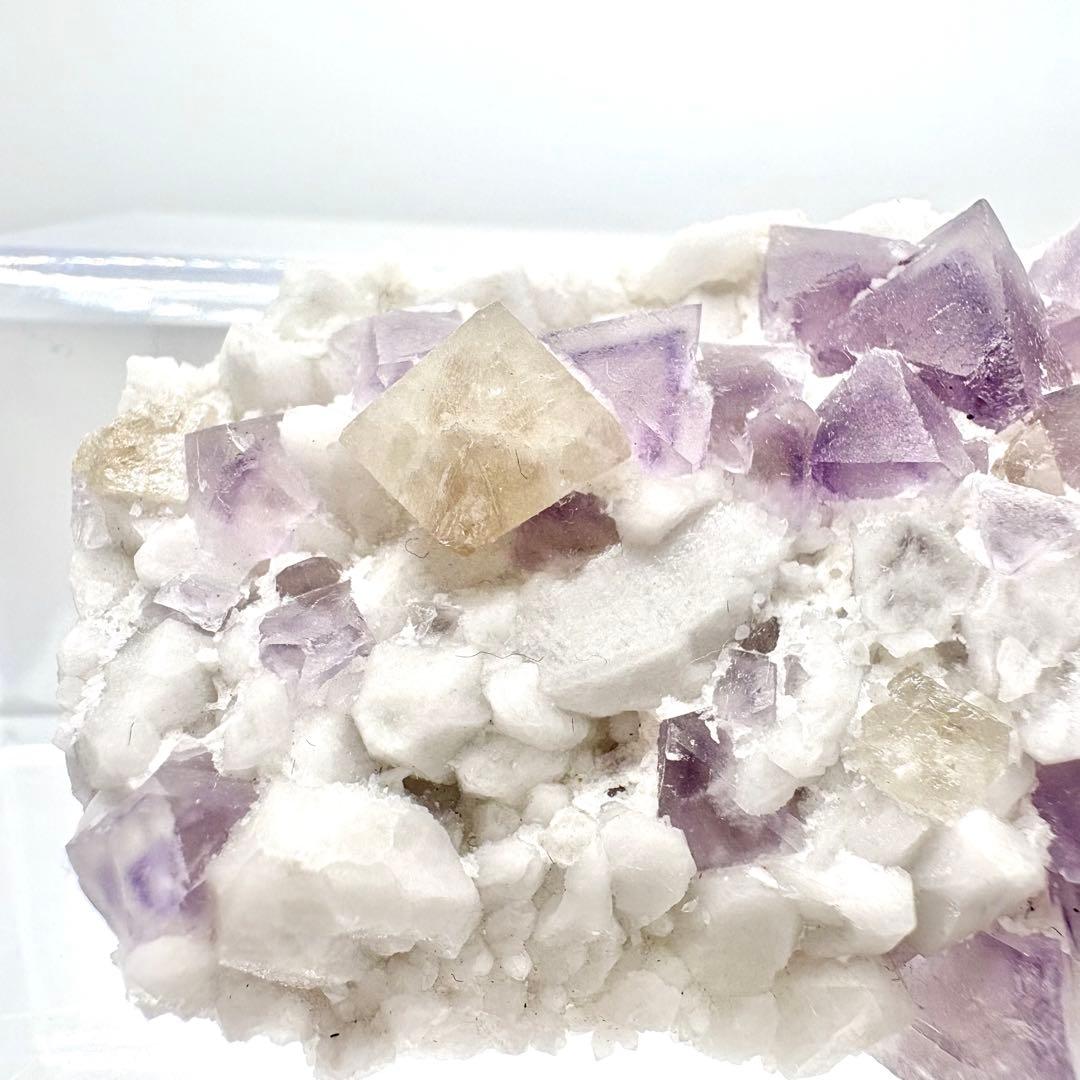 565 中国内モンゴル産　八面体フローライト&シェーライト