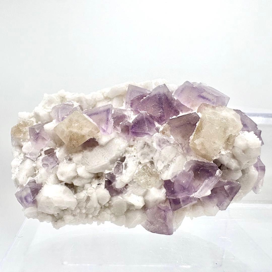 565 中国内モンゴル産　八面体フローライト&シェーライト