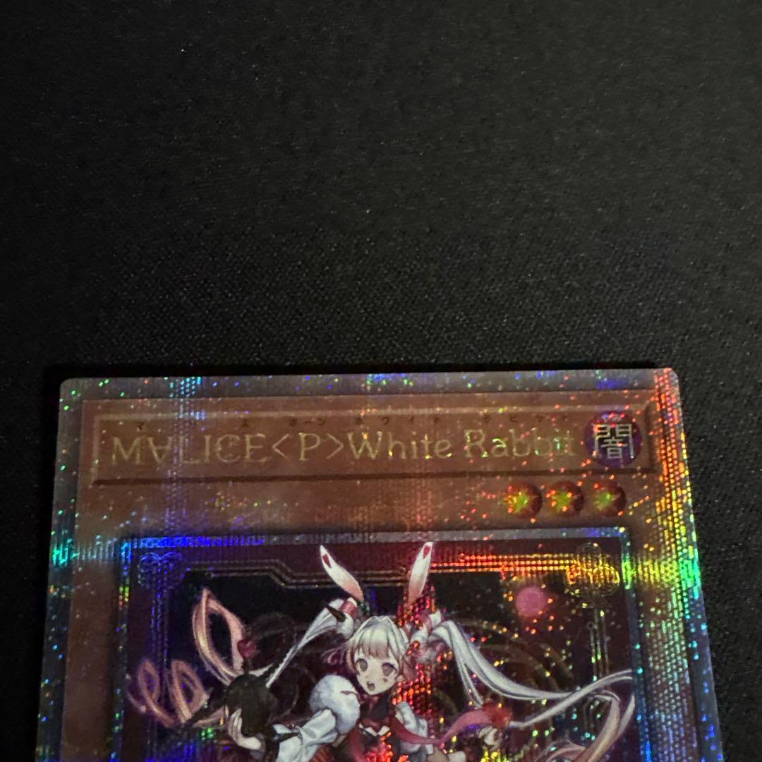 M∀LICE〈P〉ホワイトラビット　25th ①
