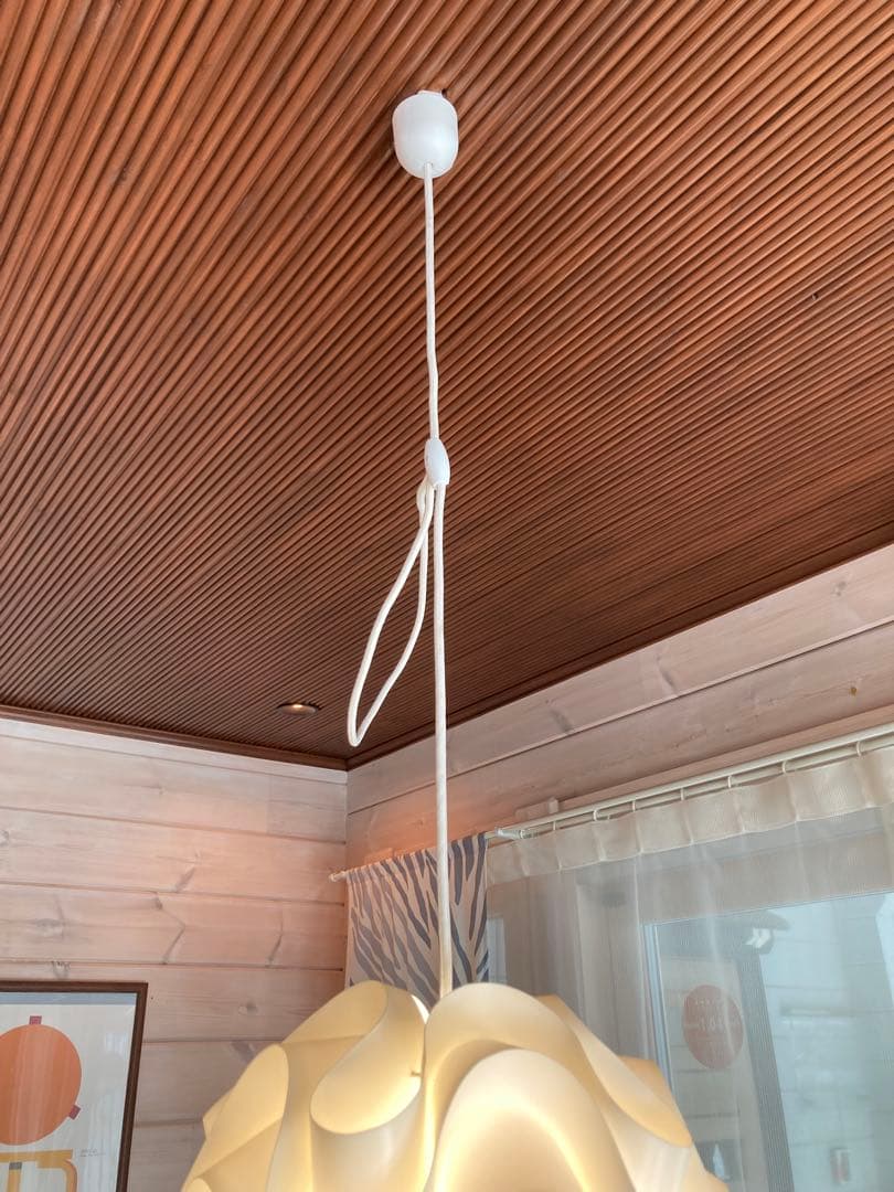 値下❗️北欧レ・クリント サイナスライン美品LE KLINTコード150cm