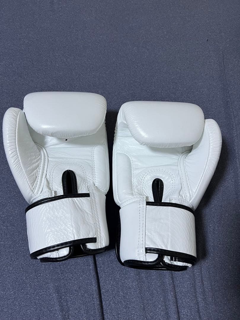 Fairtex ボクシンググローブ ホワイト