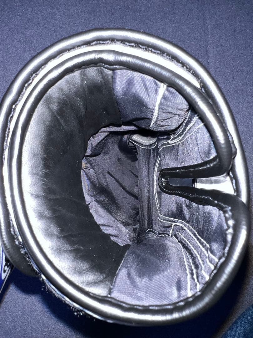 Fairtex ボクシンググローブ ホワイト