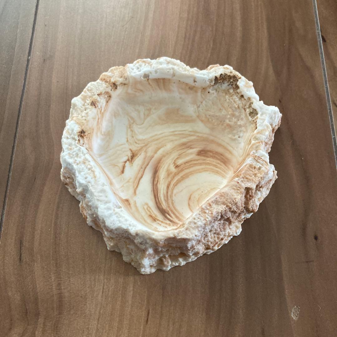 GEXグラステラリウム4545 ピタリ適温プラス1号、その他　付き