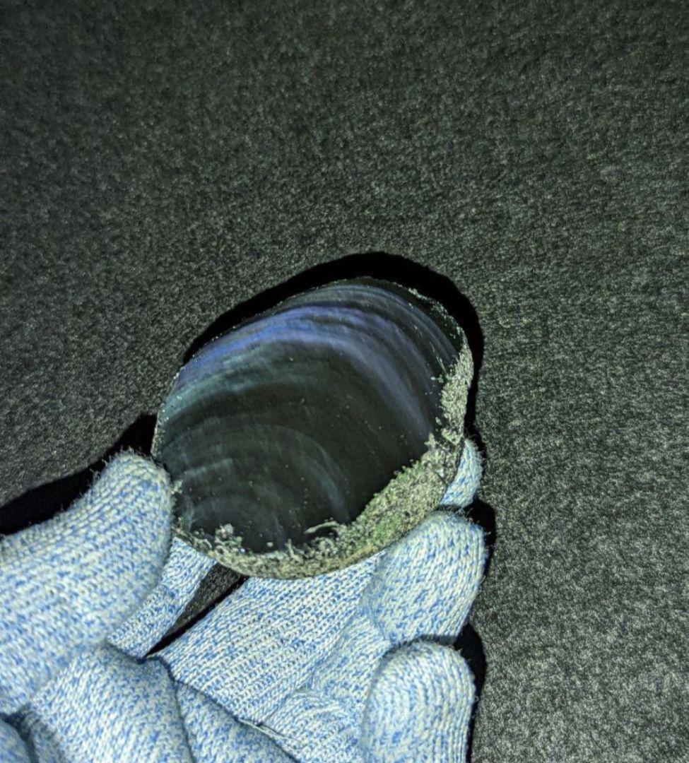 【研磨品】十勝石玲瓏　北海道産レインボーオブシディアン　十勝石　玲瓏石　北海道石