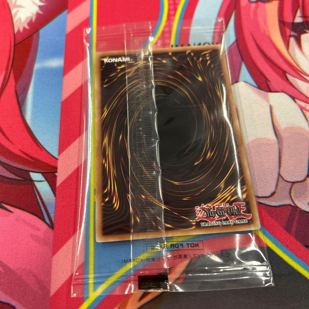 日本選手権　プロモ　優勝