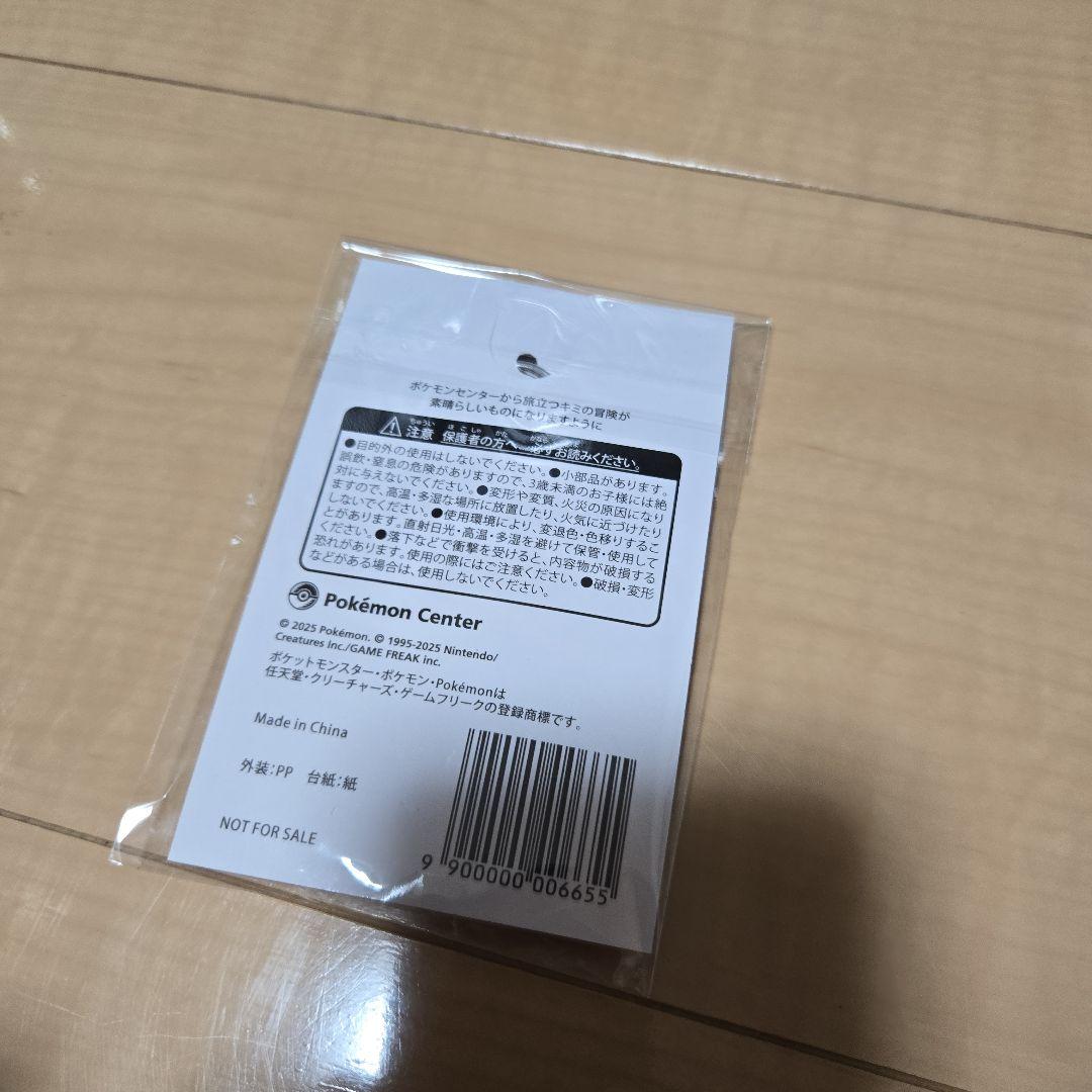 ポケモンZA ソフト 予約購入特典 オリジナルアートブック キーホルダー