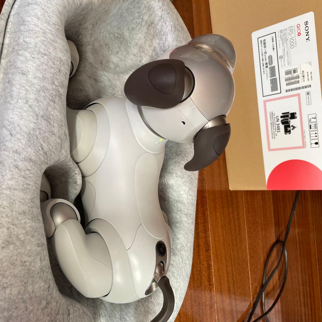 aibo本体 アイボ ERS-1000 ロボット犬 2019年正規購入