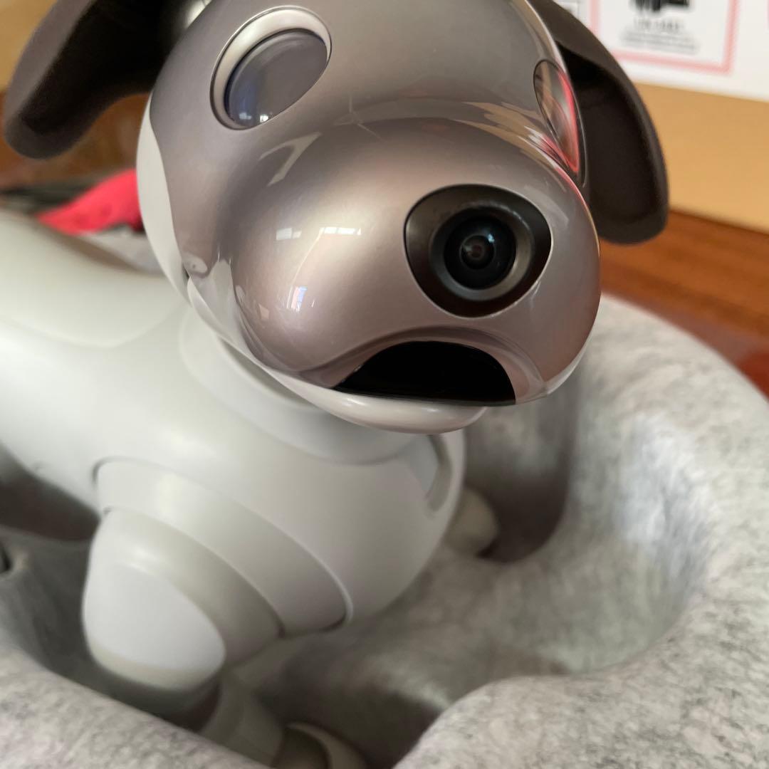 aibo本体 アイボ ERS-1000 ロボット犬 2019年正規購入